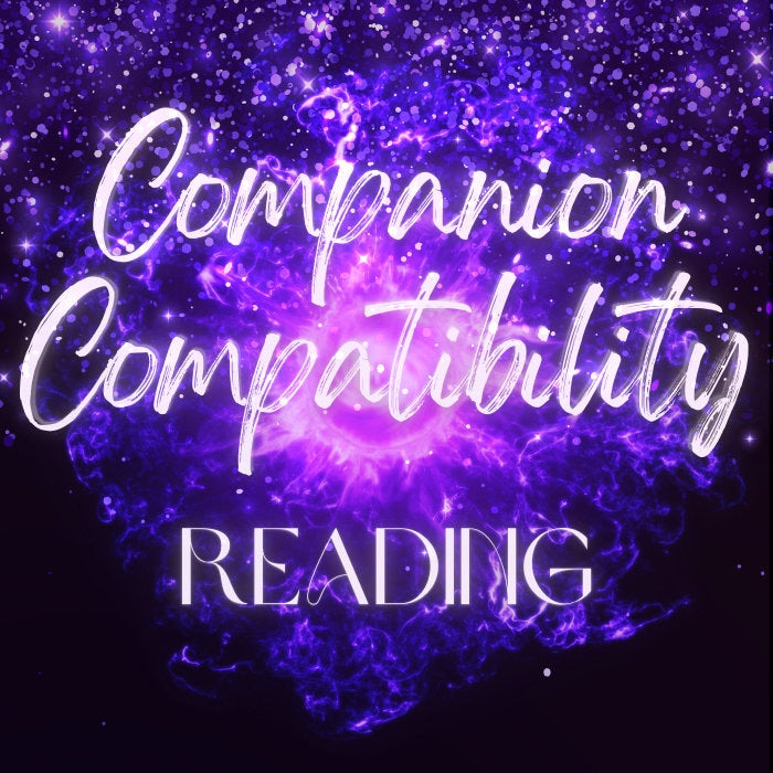 Companion Compatibility Reading / What Type of Spirit Companion Best Suits You?