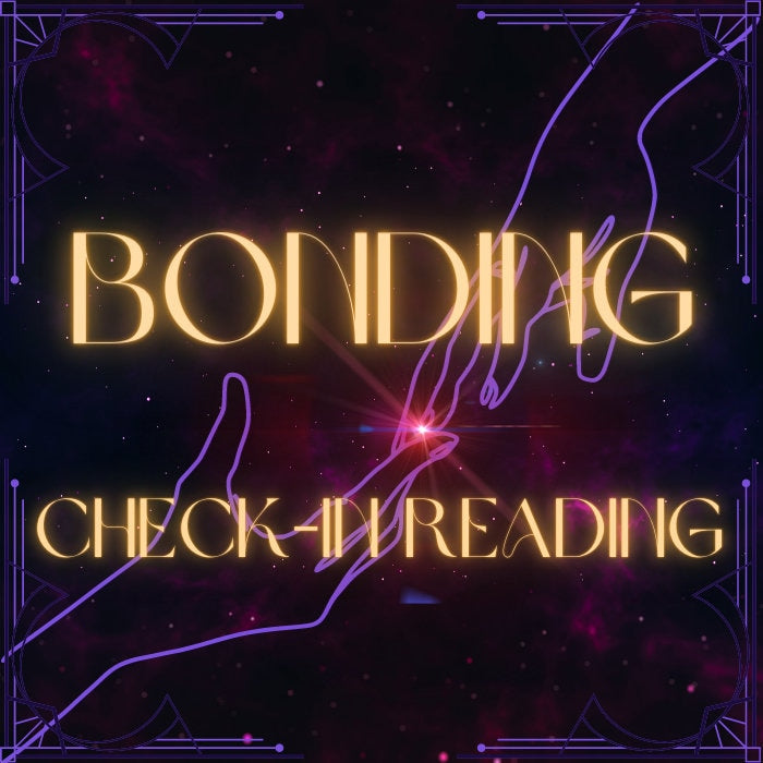 Companion Bonding Check-In Tarot Reading / Touch Base With Loved Ones To Better Understand Them!