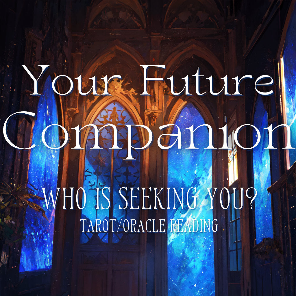 Your Future Companion Reading / Who is looking for you? / Traits to Understand and Look Out For